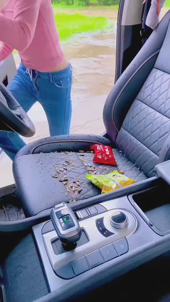 Portable Vacuum Cleaner